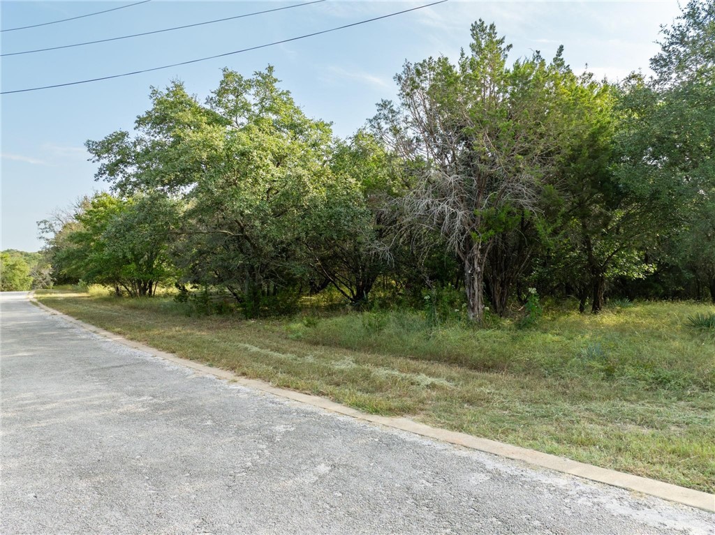 41073 Heartwood Circle, Whitney, Texas image 16