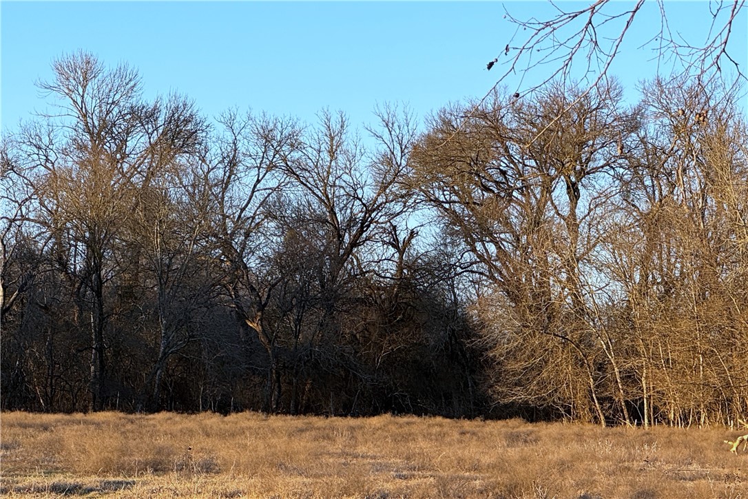 199 Cr 152, Riesel, Texas image 5