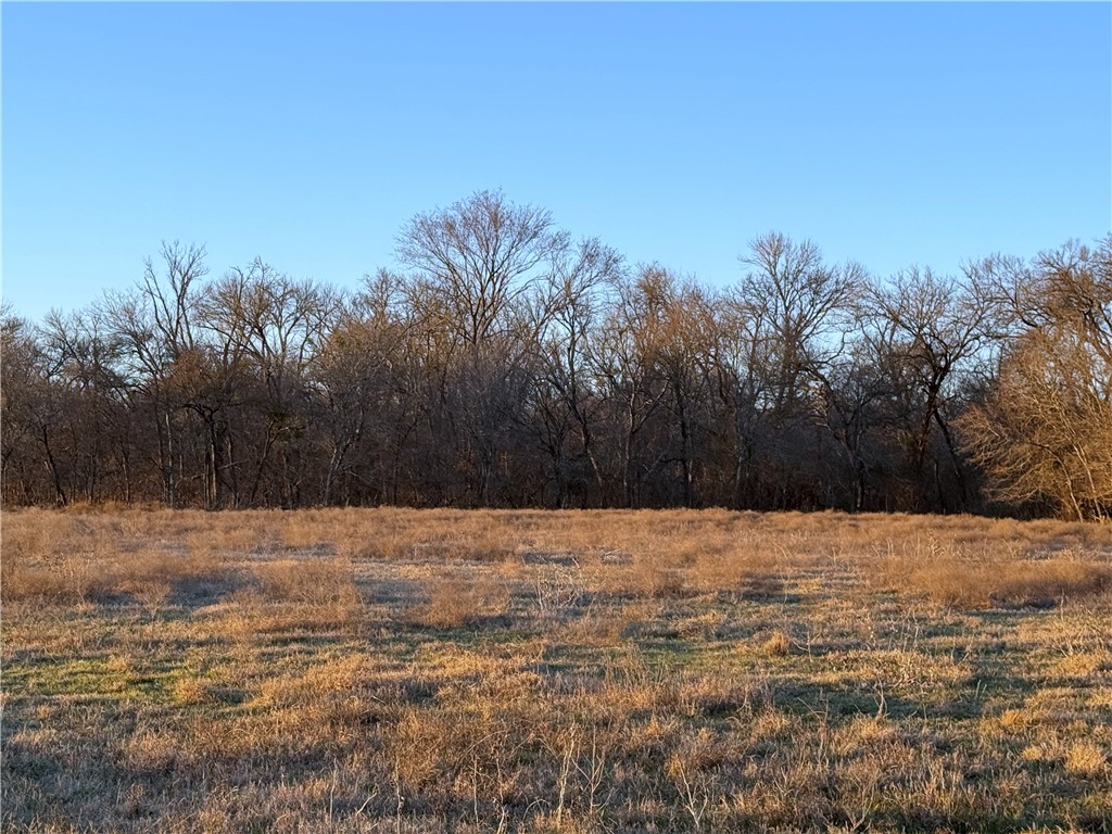 199 Cr 152, Riesel, Texas image 7