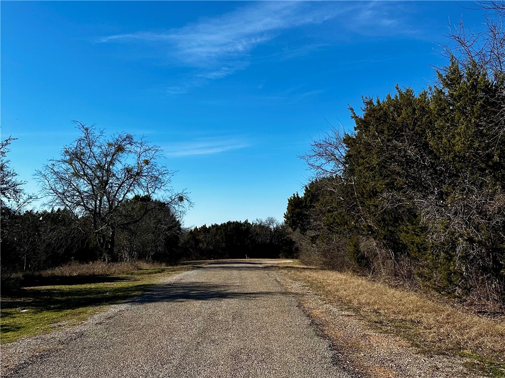 1281 Paintbrush Court, Whitney, Texas image 4