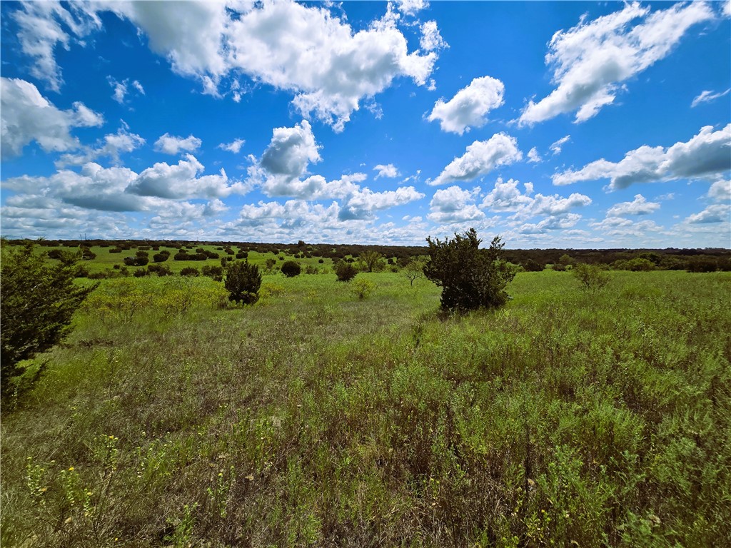 Lot 69 Pr 16024, Jonesboro, Texas image 13