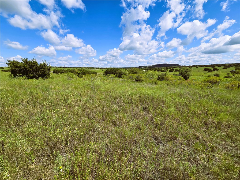 Lot 69 Pr 16024, Jonesboro, Texas image 12