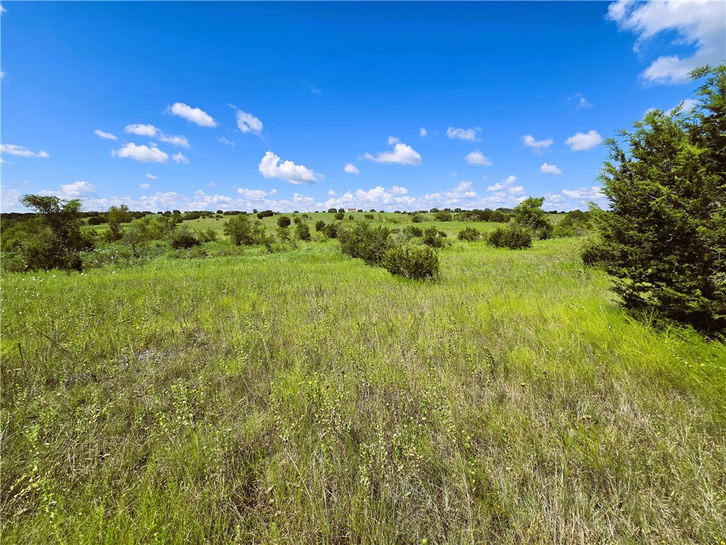 Lot 69 Pr 16024, Jonesboro, Texas image 9