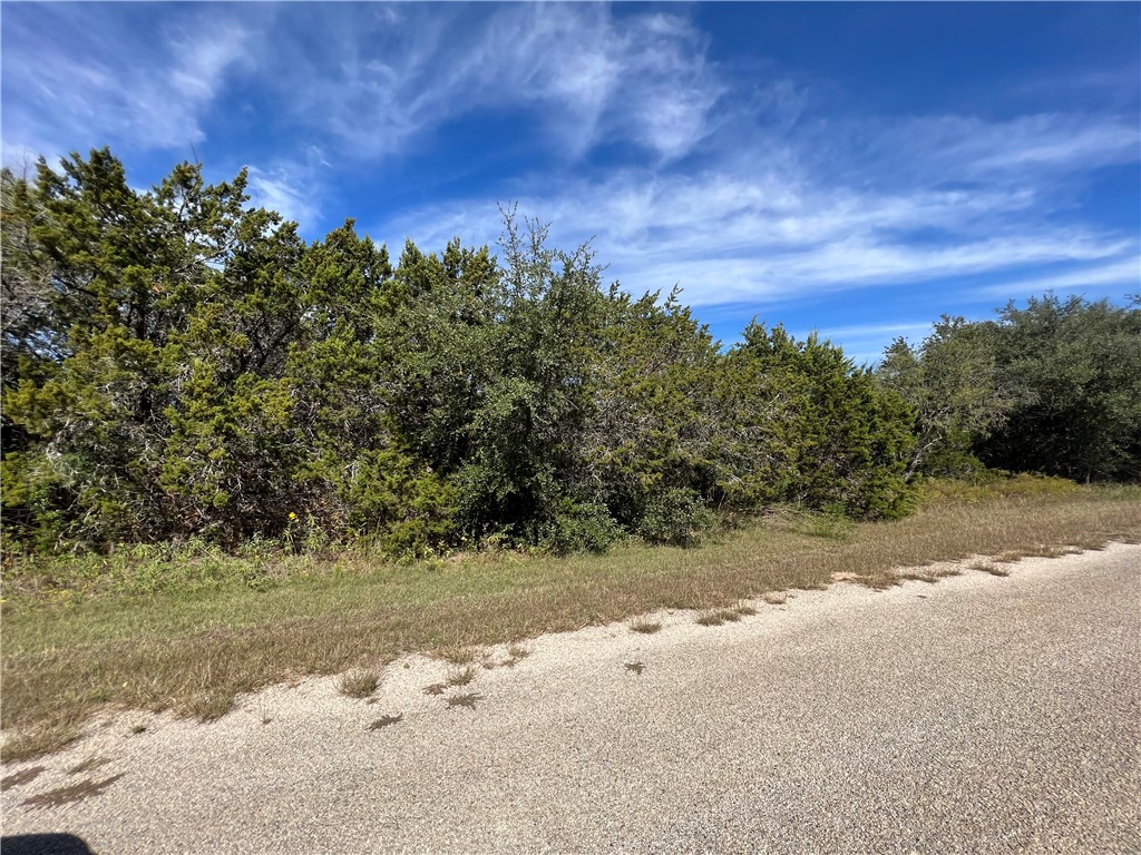 33028 Woodcrest Drive, Whitney, Texas image 4