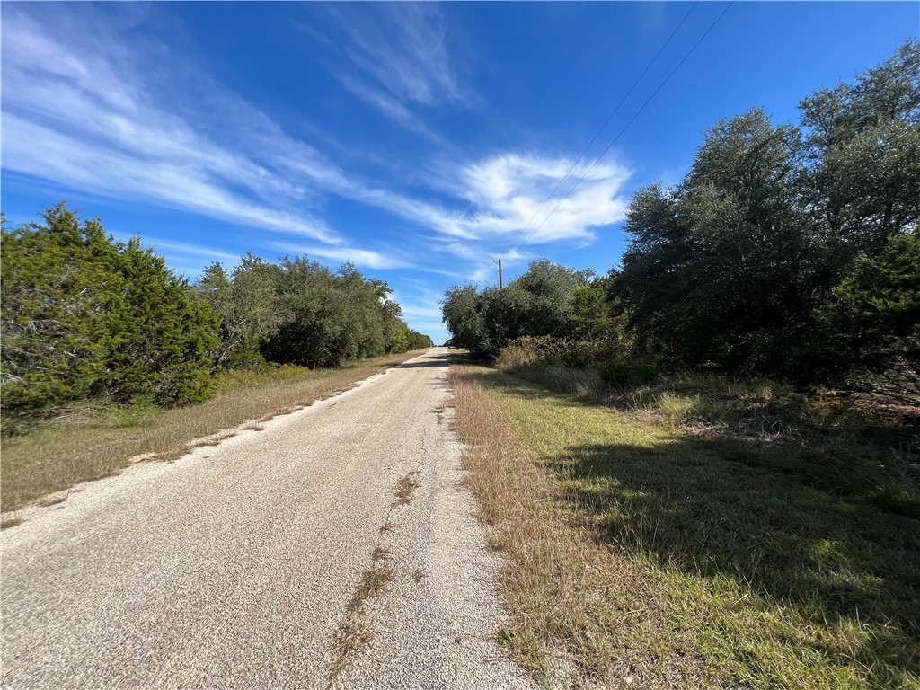 33028 Woodcrest Drive, Whitney, Texas image 5