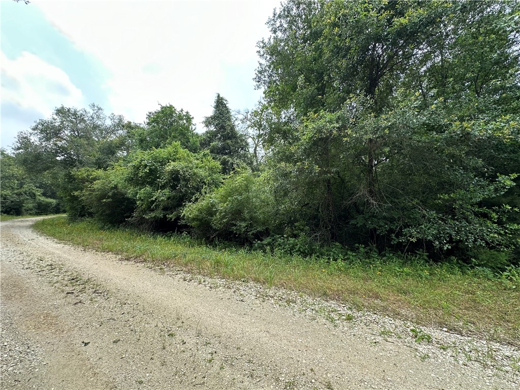 Tract 2 Lcr 701, Kosse, Texas image 3