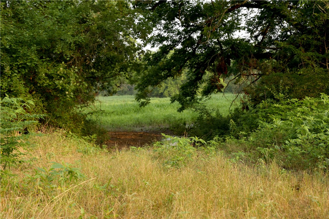 1298 State Hwy 7 Highway, Eddy, Texas image 9