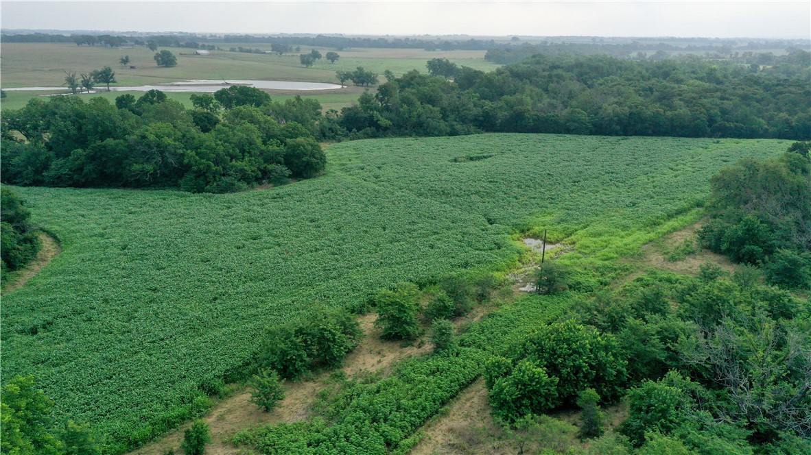 1298 State Hwy 7 Highway, Eddy, Texas image 10