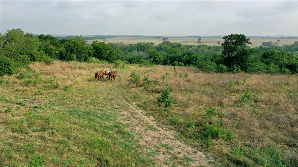 1298 State Hwy 7 Highway, Eddy, Texas image 5