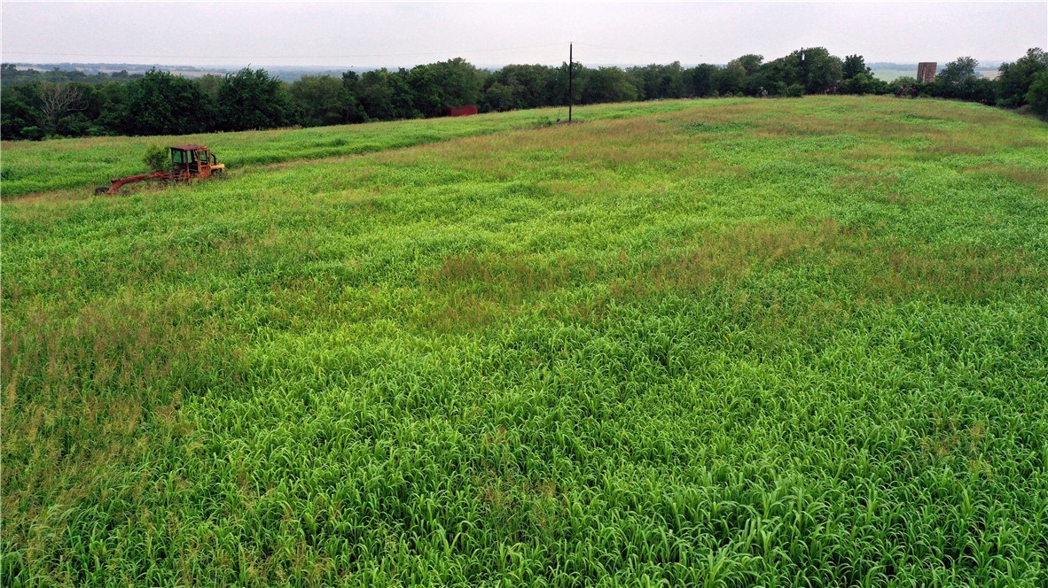 1298 State Hwy 7 Highway, Eddy, Texas image 24