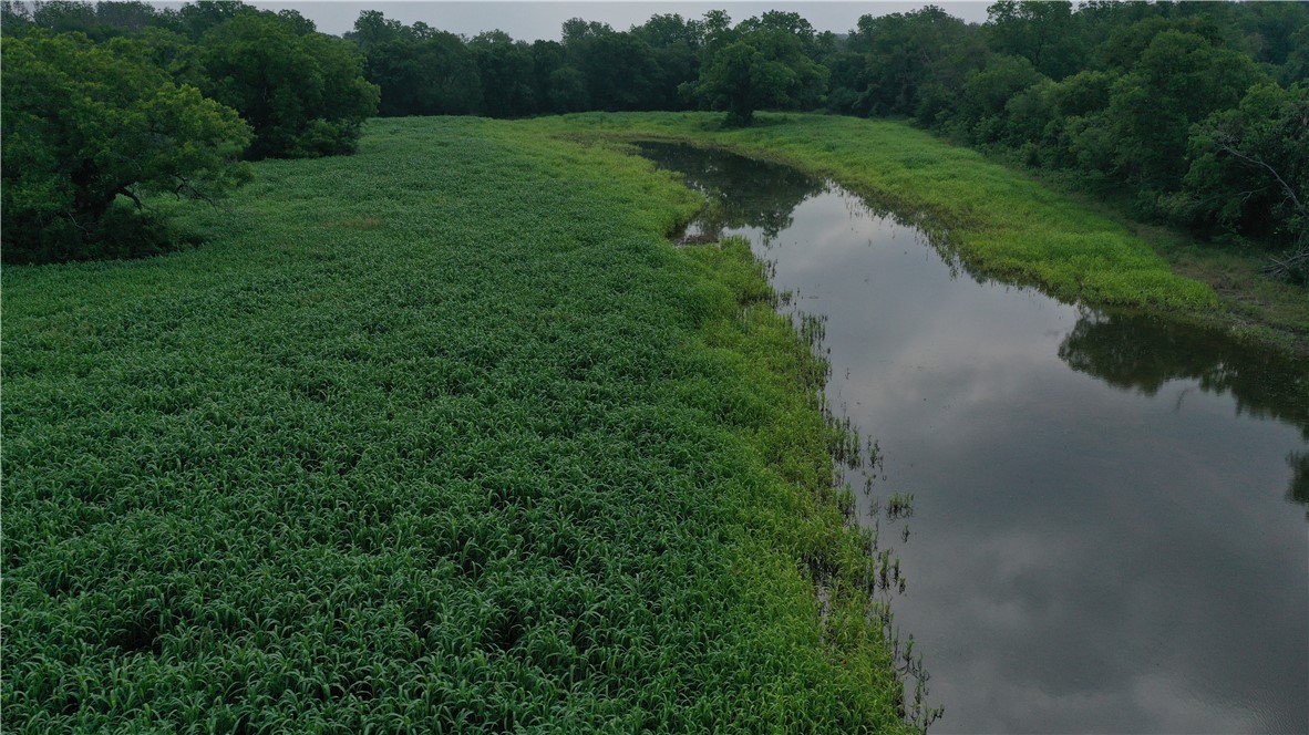 1298 State Hwy 7 Highway, Eddy, Texas image 29