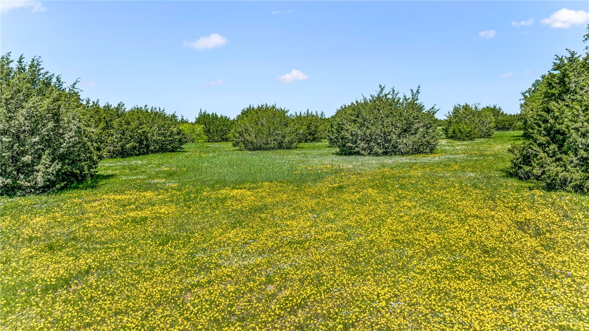 1710 Cr 317, Dublin, Texas image 32