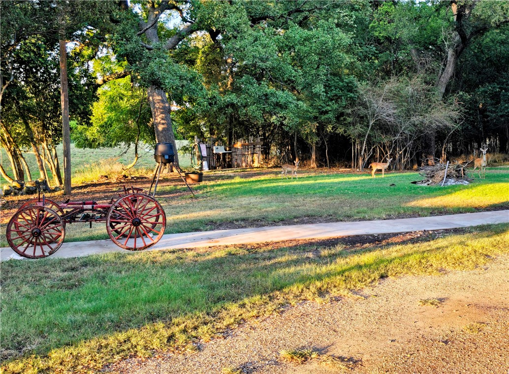 1050 Fm 2841, Clifton, Texas image 26