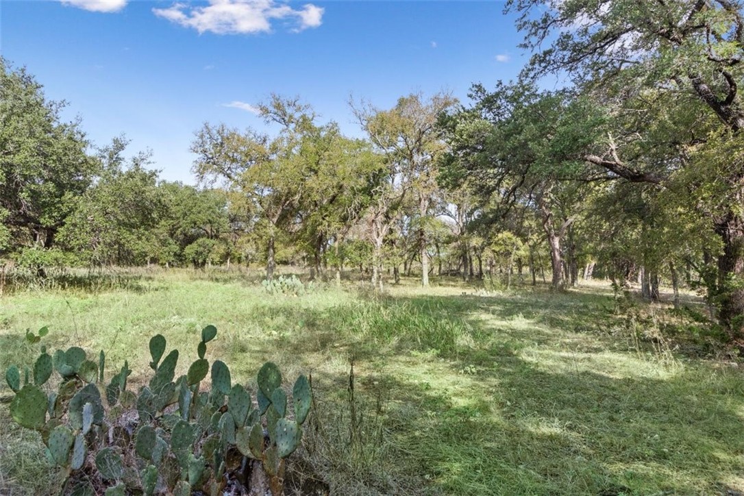 190 Winding Trail, Crawford, Texas image 40