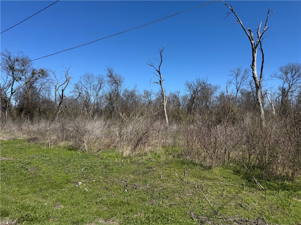 Lot 8 N 2nd Street, Lott, Texas image 3