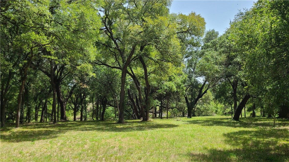 223 Oak Creek Circle, McGregor, Texas image 10