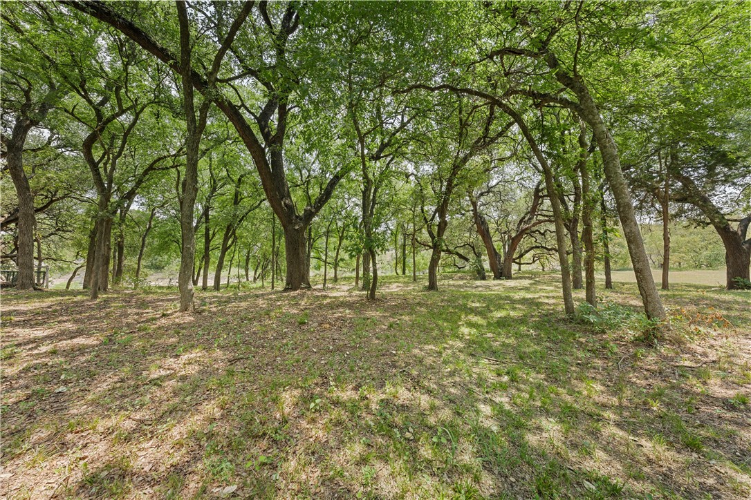 223 Oak Creek Circle, McGregor, Texas image 4