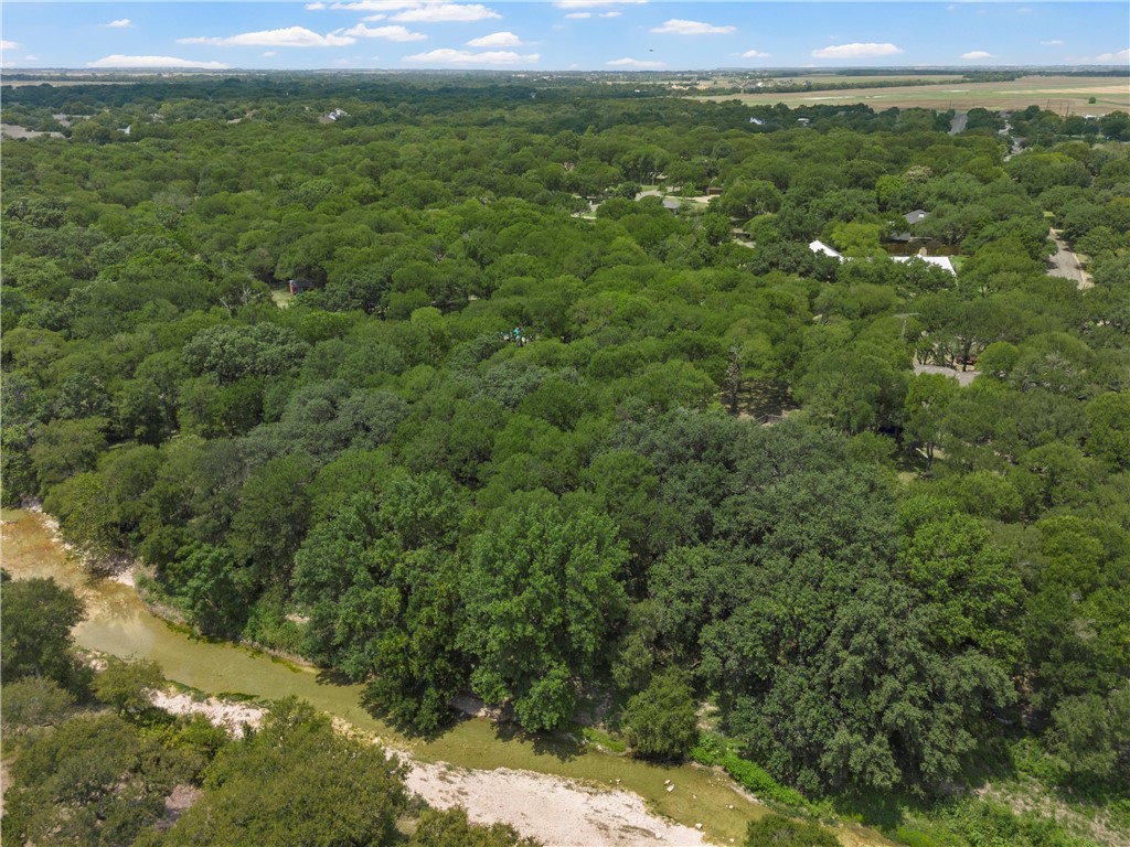 223 Oak Creek Circle, McGregor, Texas image 3