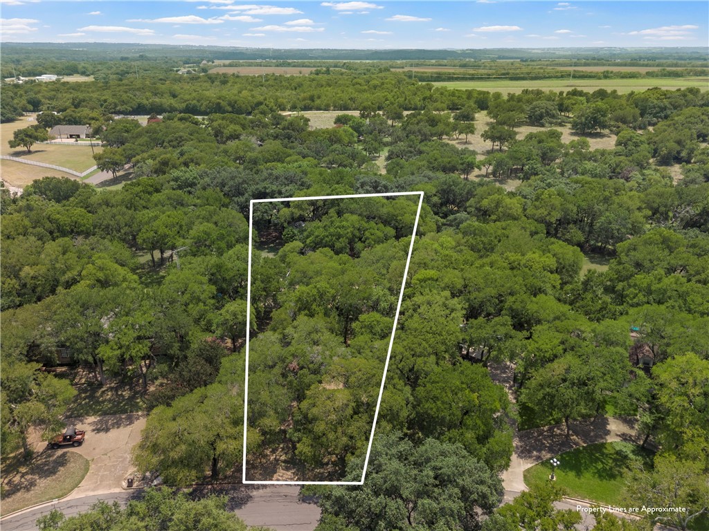 223 Oak Creek Circle, McGregor, Texas image 12