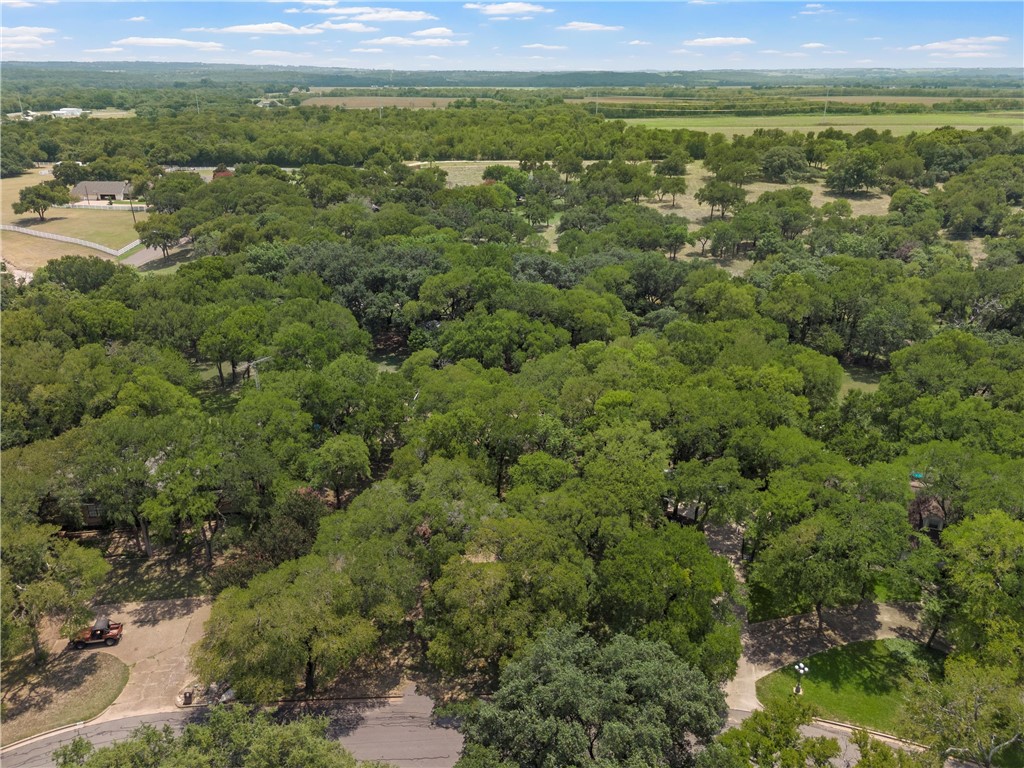 223 Oak Creek Circle, McGregor, Texas image 7