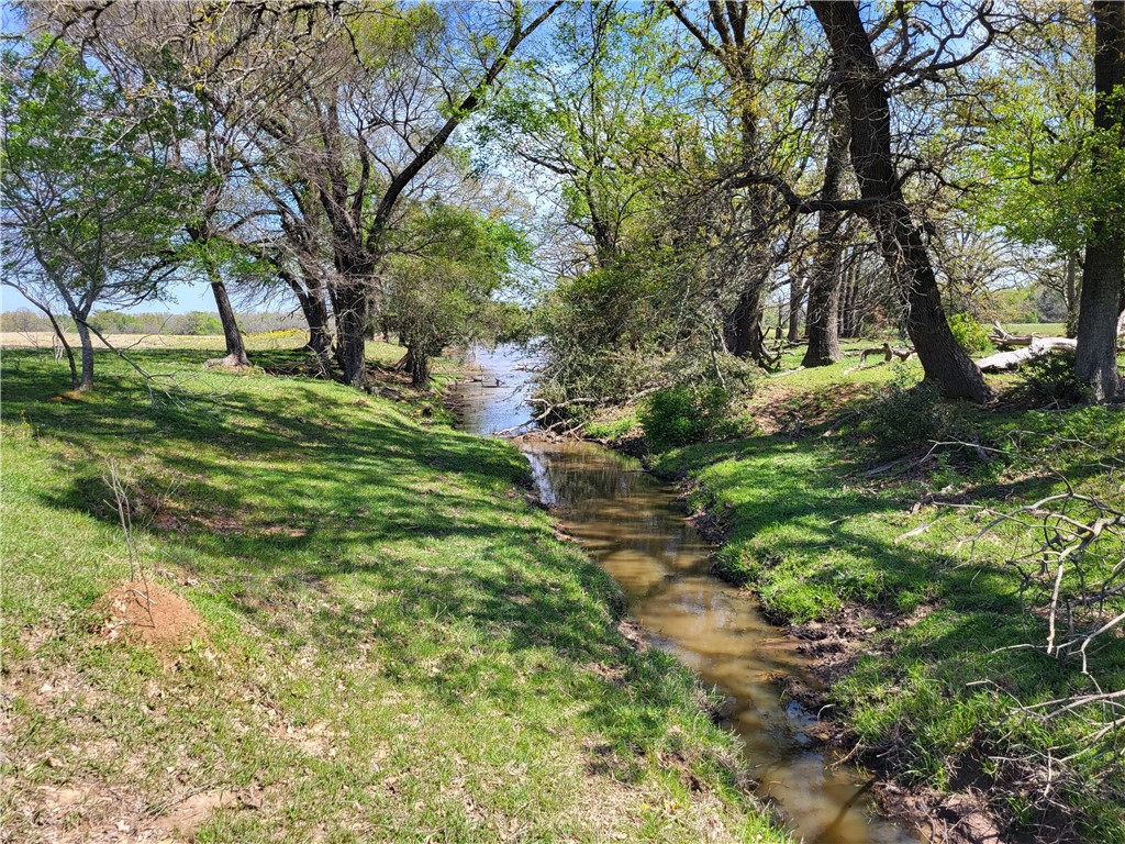 93.4 Ac Lcr 862, Donie, Texas image 10