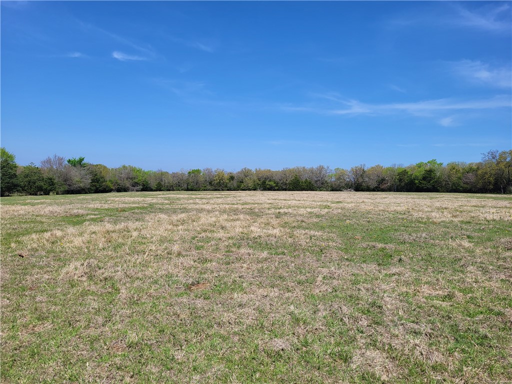 93.4 Ac Lcr 862, Donie, Texas image 18