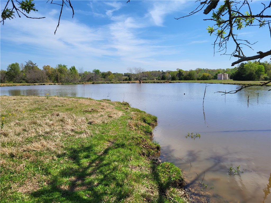 93.4 Ac Lcr 862, Donie, Texas image 14
