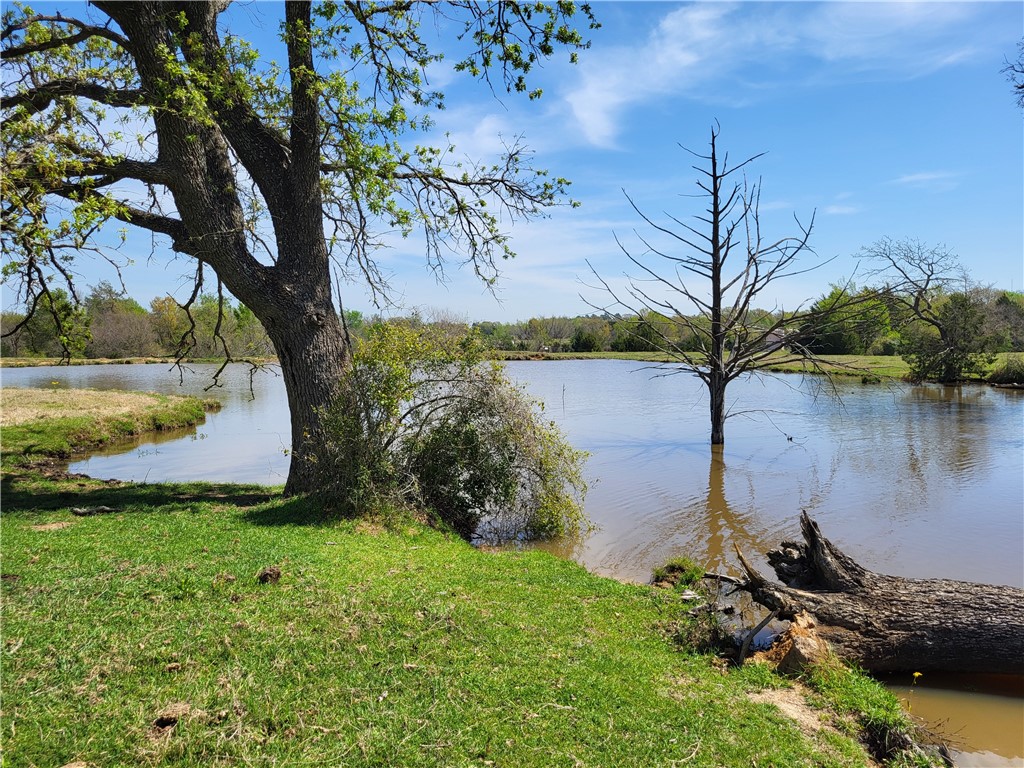 93.4 Ac Lcr 862, Donie, Texas image 13