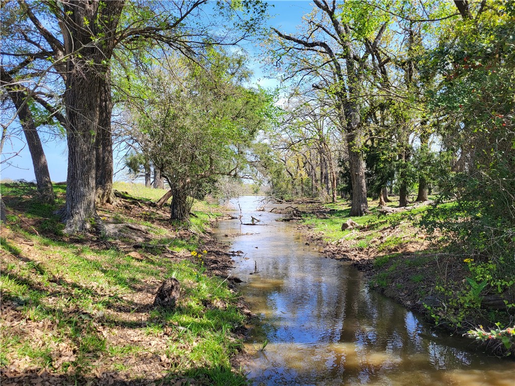 93.4 Ac Lcr 862, Donie, Texas image 11