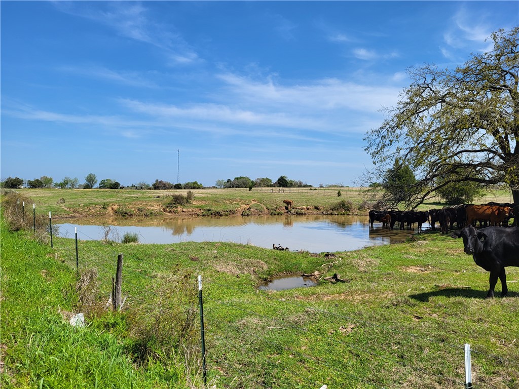 93.4 Ac Lcr 862, Donie, Texas image 6