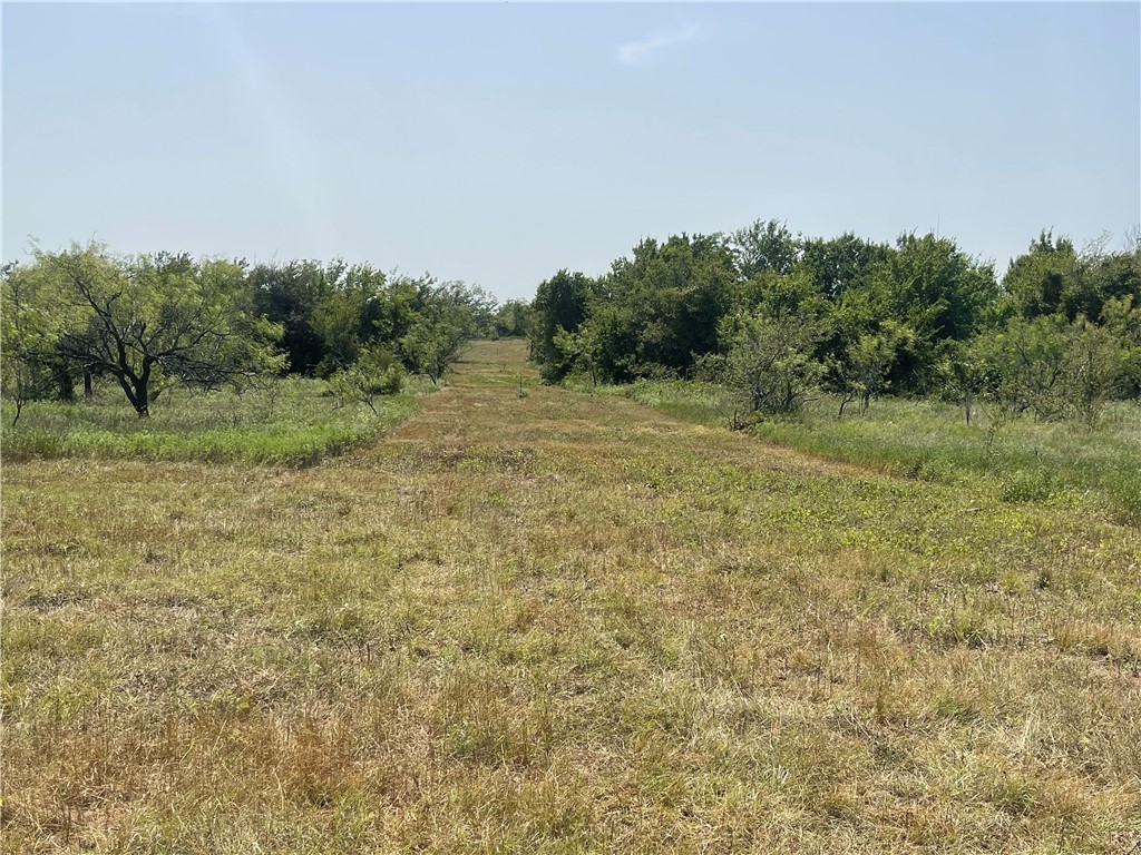 LOT 9 TBD Fm 339, Mount Calm, Texas image 8