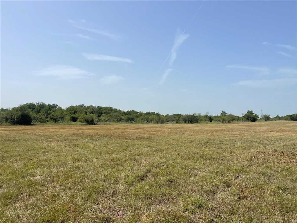 LOT 9 TBD Fm 339, Mount Calm, Texas image 3