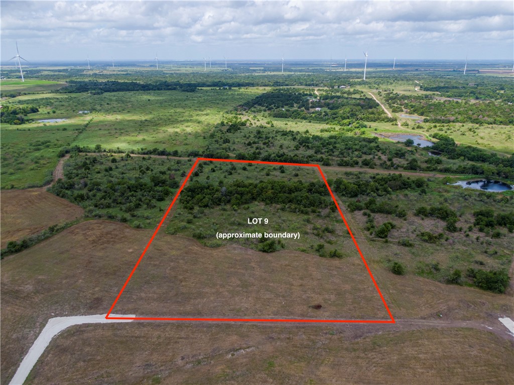 LOT 9 TBD Fm 339, Mount Calm, Texas image 1