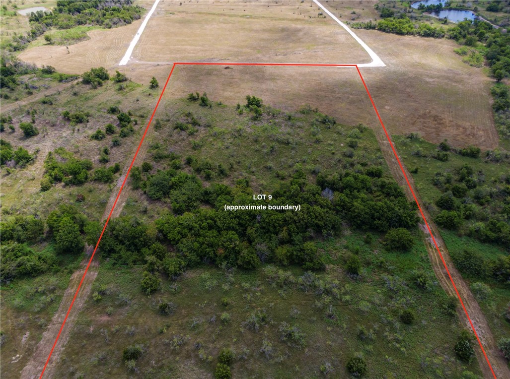 LOT 9 TBD Fm 339, Mount Calm, Texas image 2