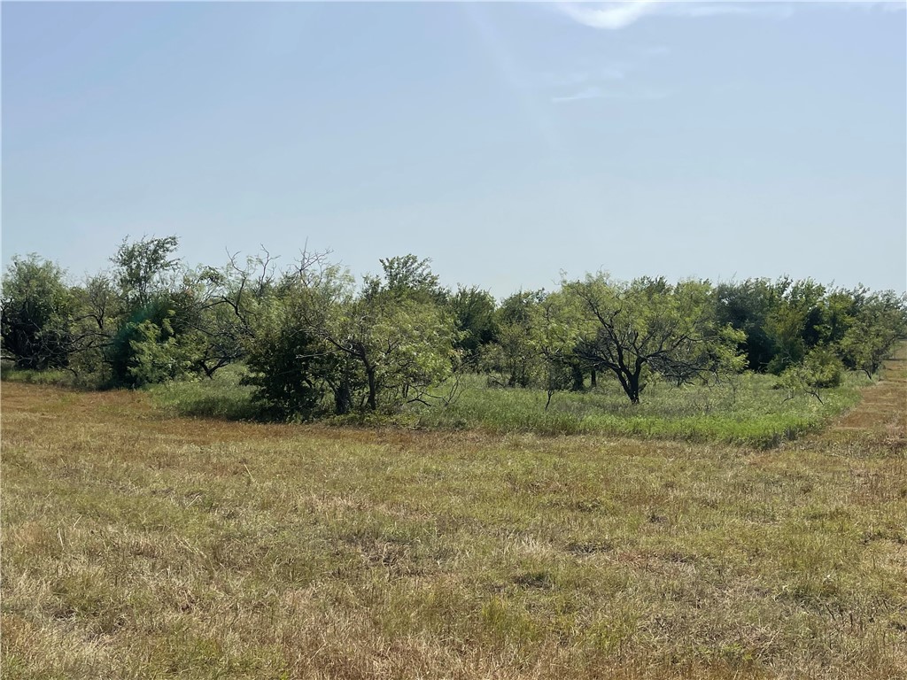 LOT 9 TBD Fm 339, Mount Calm, Texas image 7