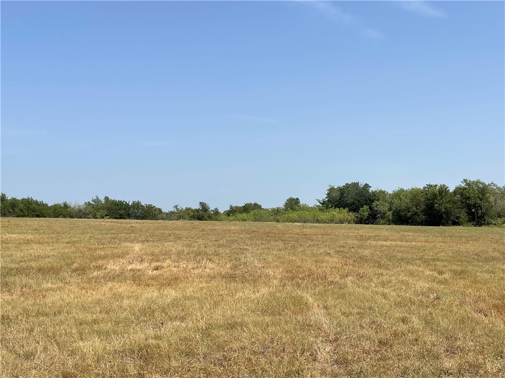 LOT 9 TBD Fm 339, Mount Calm, Texas image 5