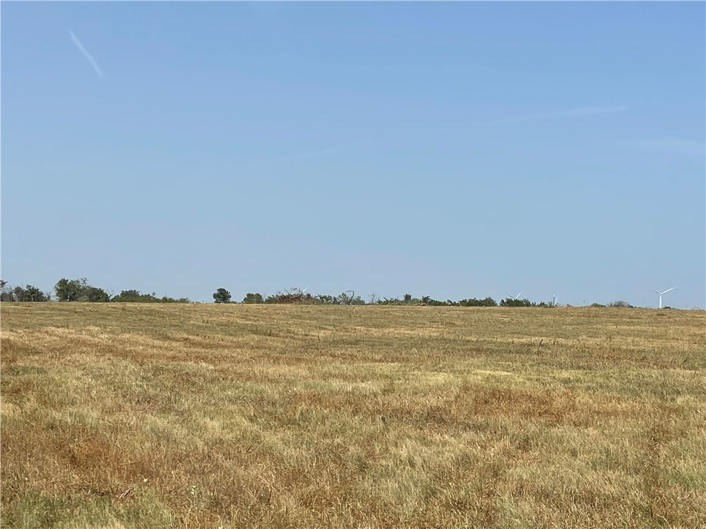 LOT 9 TBD Fm 339, Mount Calm, Texas image 9