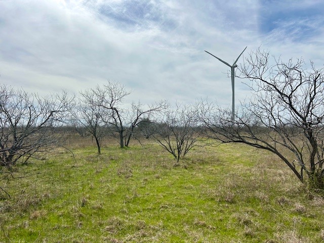 868 SW Cr 4260, Dawson, Texas image 6