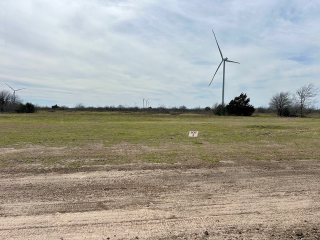 868 SW Cr 4260, Dawson, Texas image 16