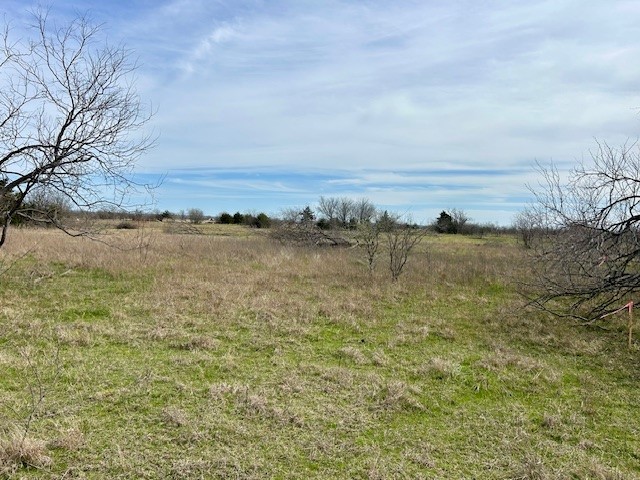 868 SW Cr 4260, Dawson, Texas image 11