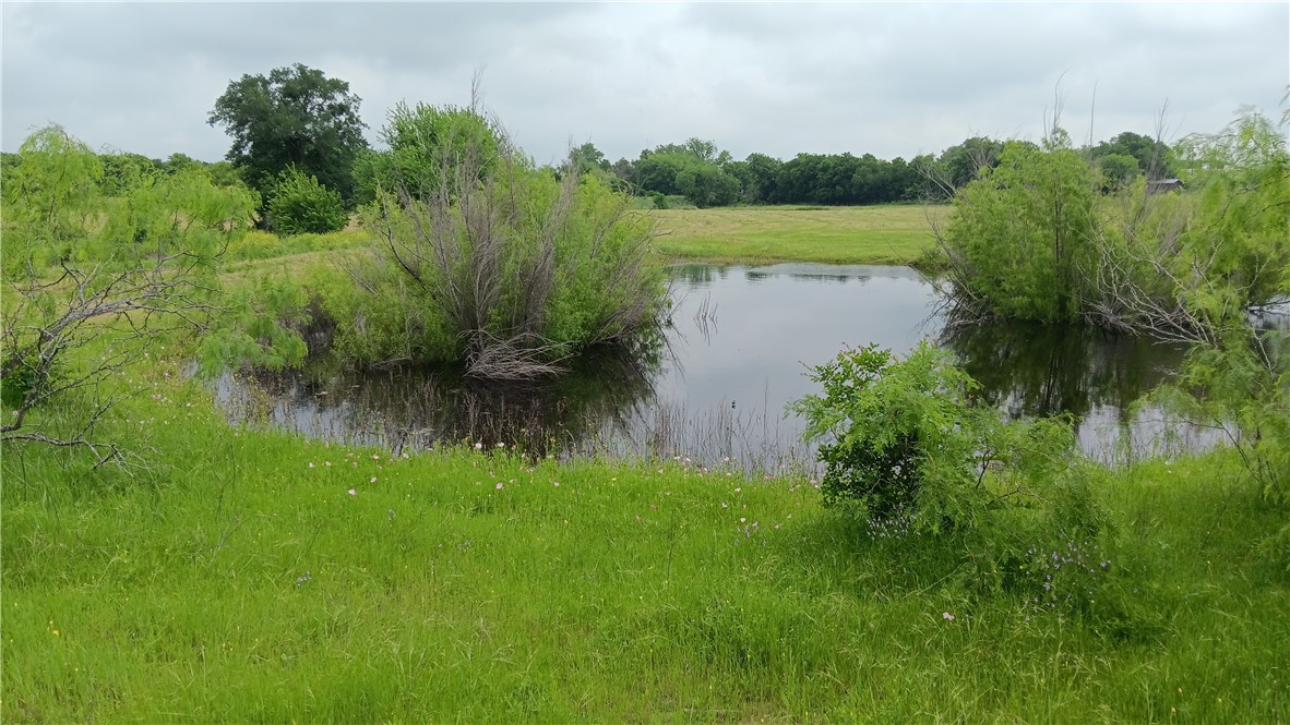 TBD Hwy 7, Chilton, Texas image 2