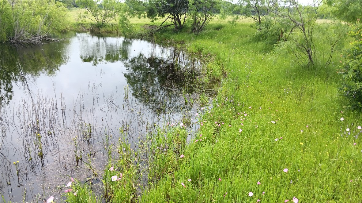 TBD Hwy 7, Chilton, Texas image 3