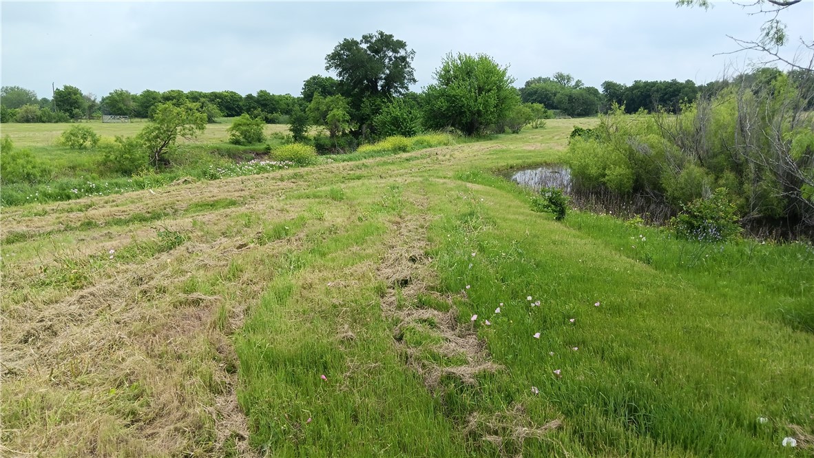 TBD Hwy 7, Chilton, Texas image 4