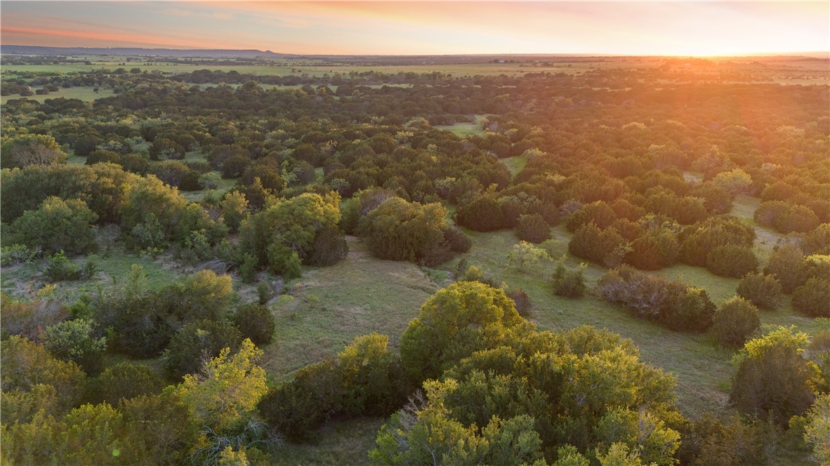 TBD Cr 2139, Iredell, Texas image 20