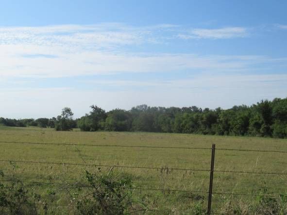 836 Cr 446 #N/A, Chilton, Texas image 14