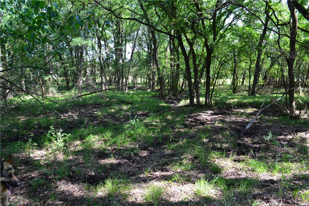 TRACT 1 TBD Cr 2244, Quinlan, Texas image 13