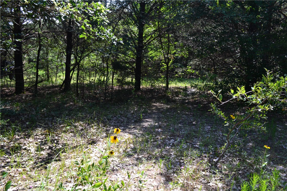 TRACT 1 TBD Cr 2244, Quinlan, Texas image 11