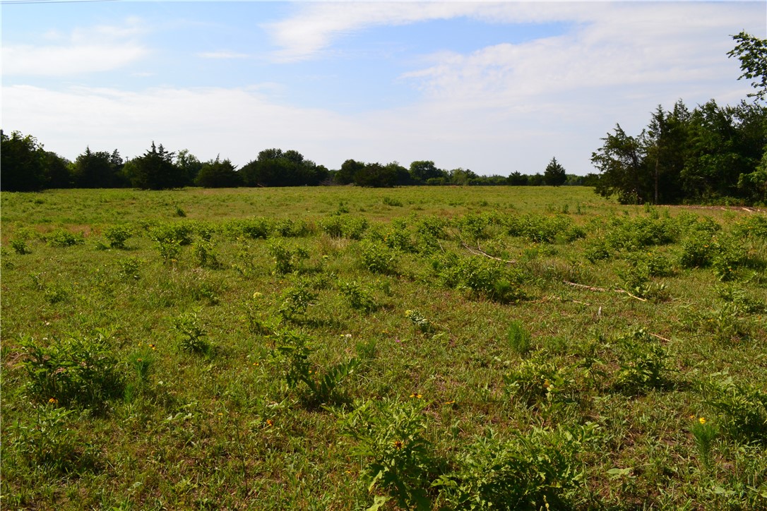 TRACT 1 TBD Cr 2244, Quinlan, Texas image 7