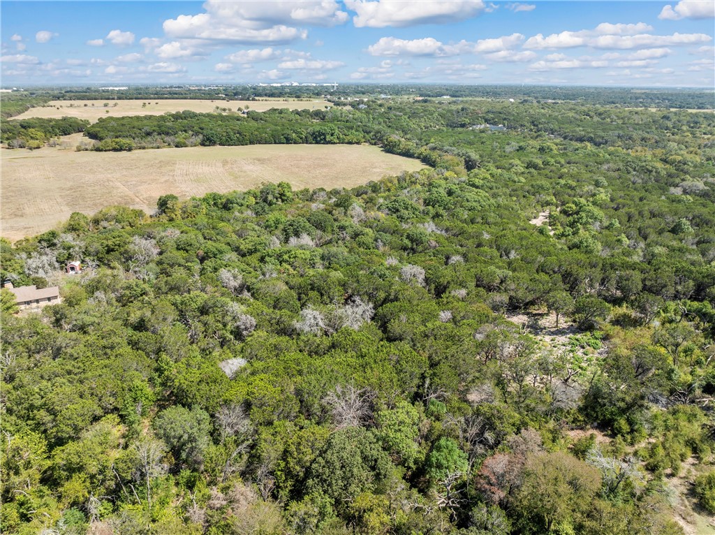 TBD Whitney Lane, Waco, Texas image 4