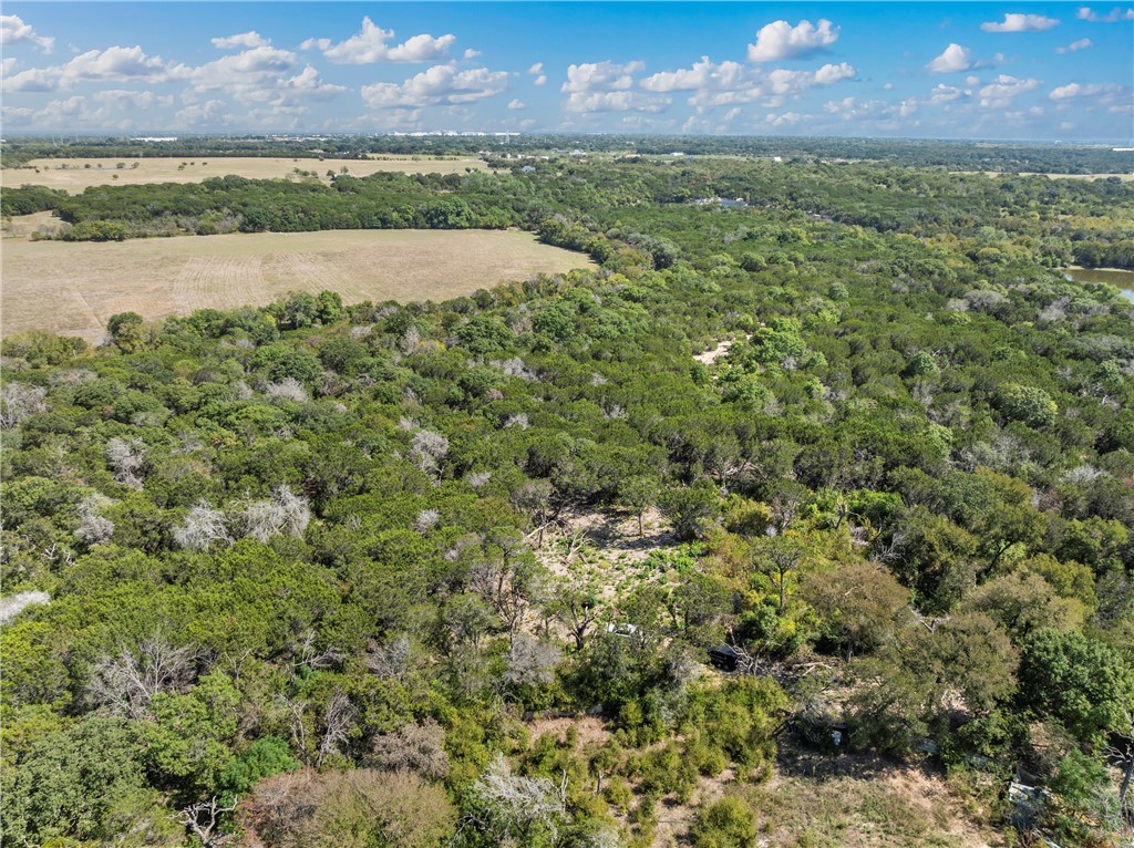 TBD Whitney Lane, Waco, Texas image 6